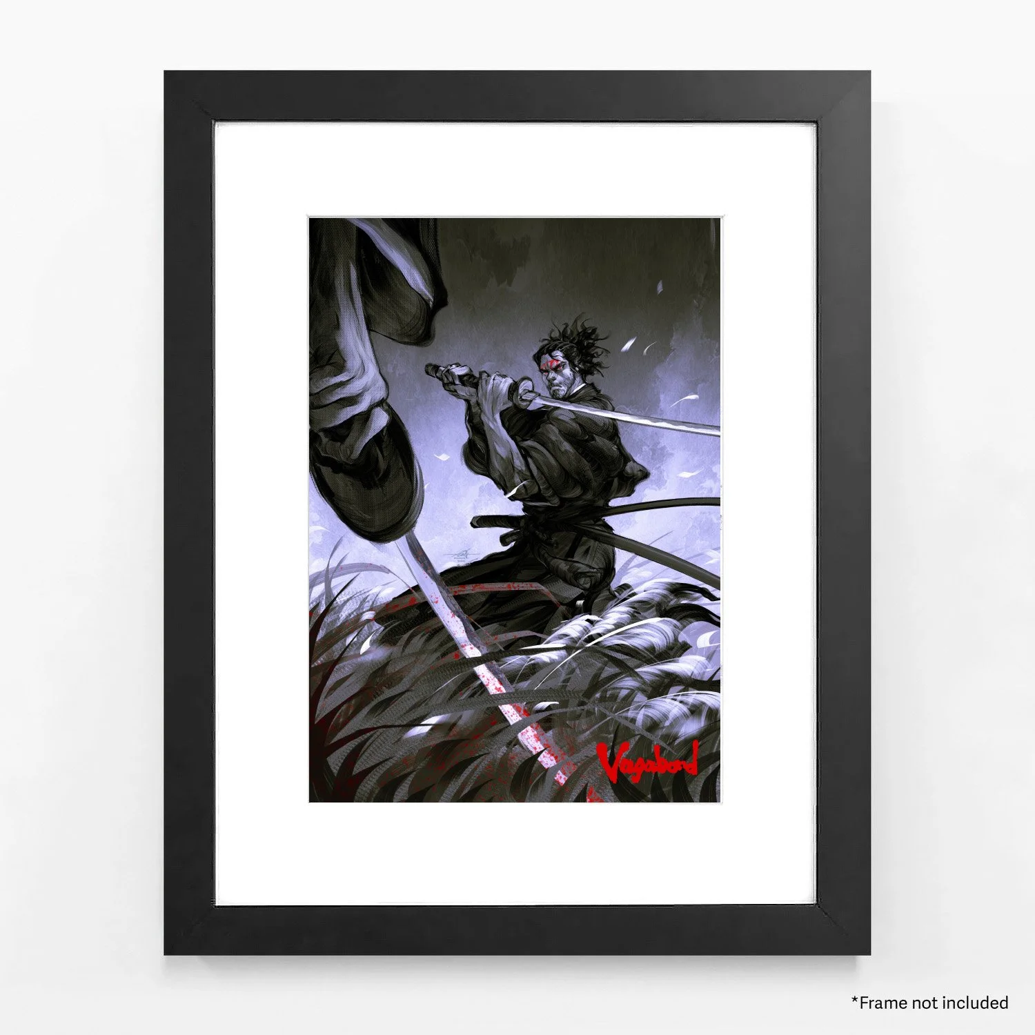 vagabond a3 display.jpg