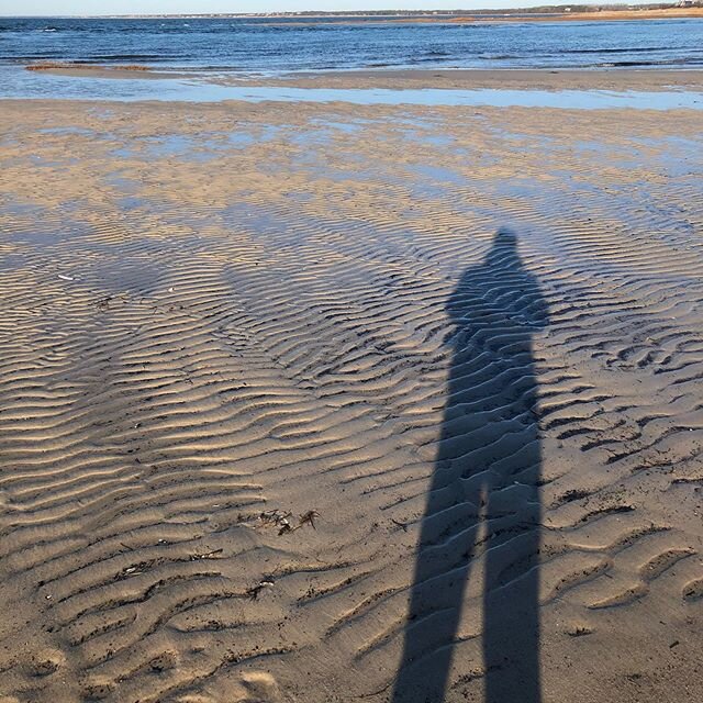 Beach walk

#skaketbeach #capecod #capecodinsta