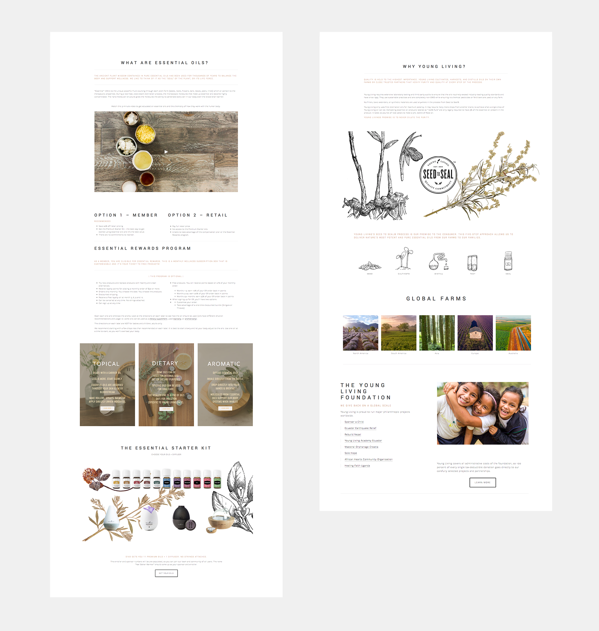Owl House Creative - The Essential Collective