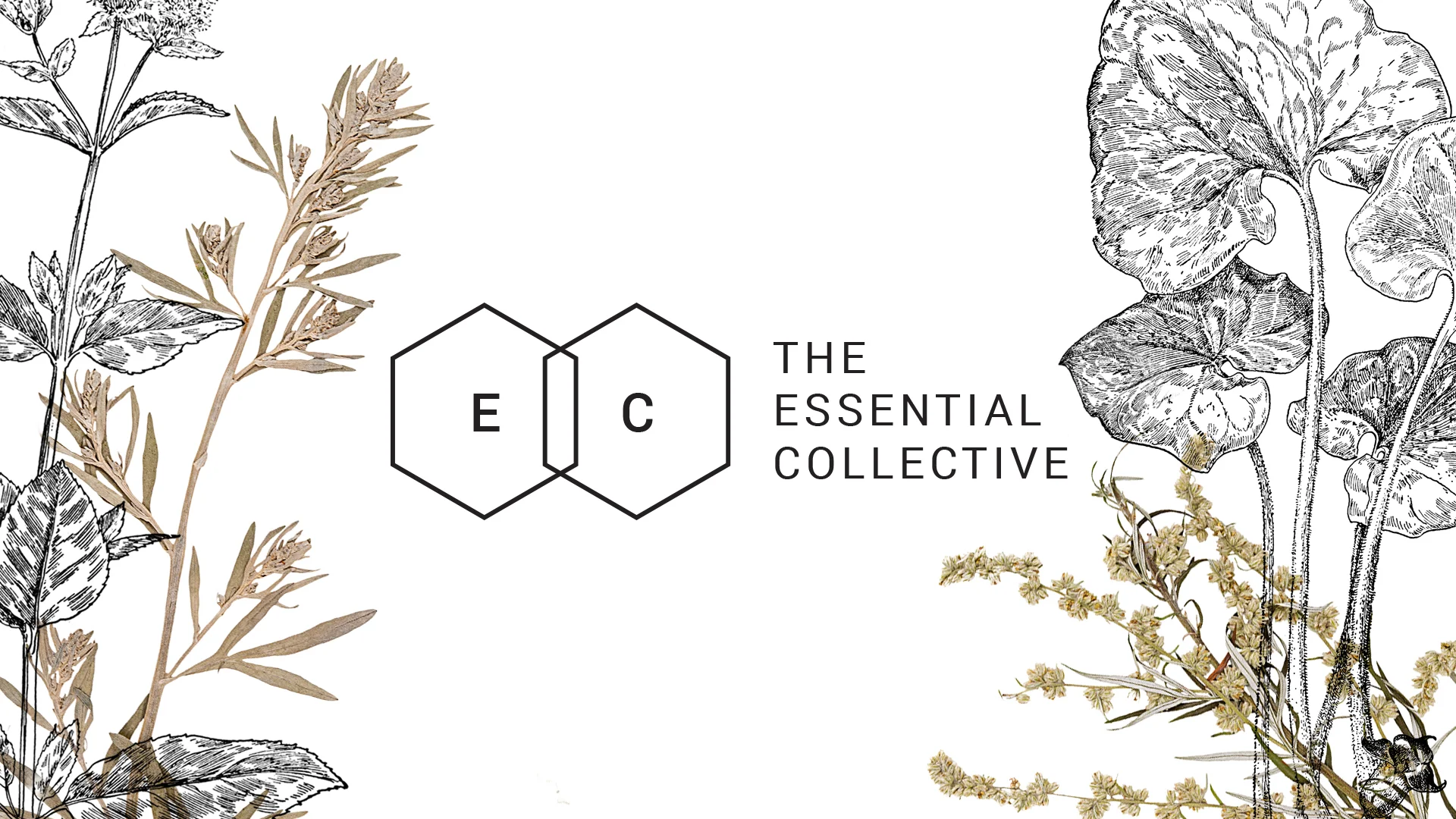 Owl House Creative - The Essential Collective
