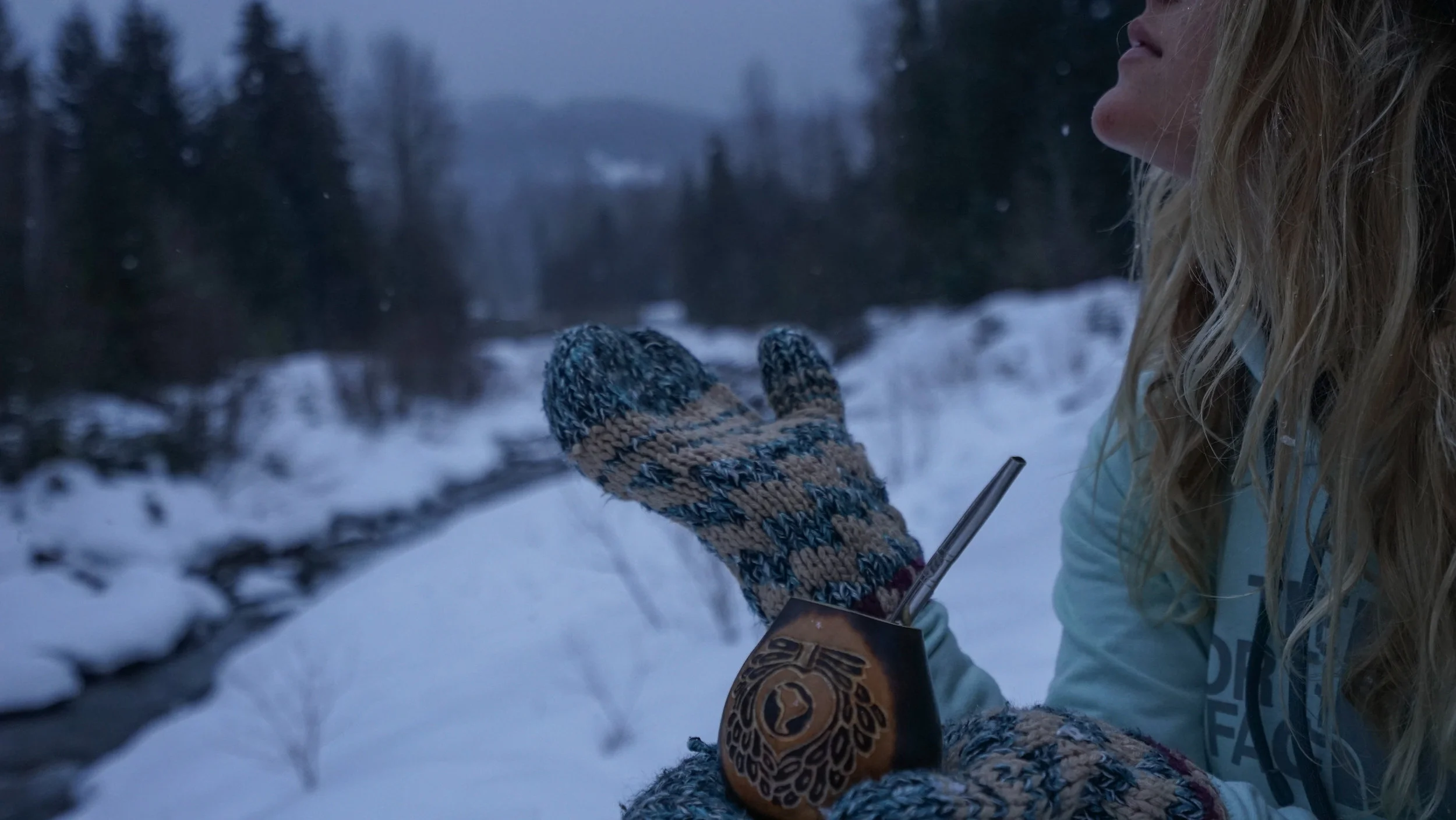 owl house creative guayaki whistler photo campaign