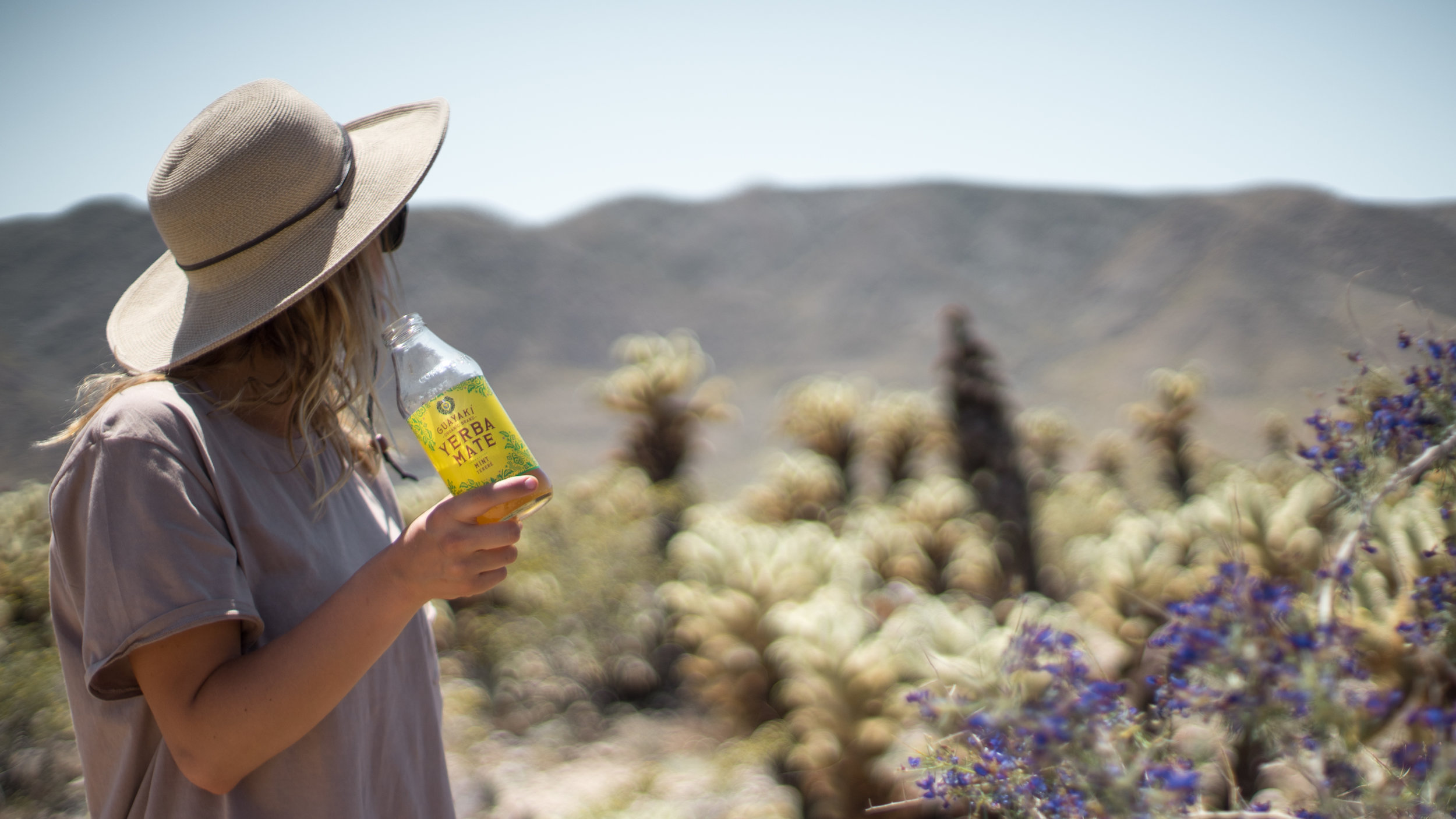 Owl House Creative - Guayaki Joshua Tree Superbloom Campaign
