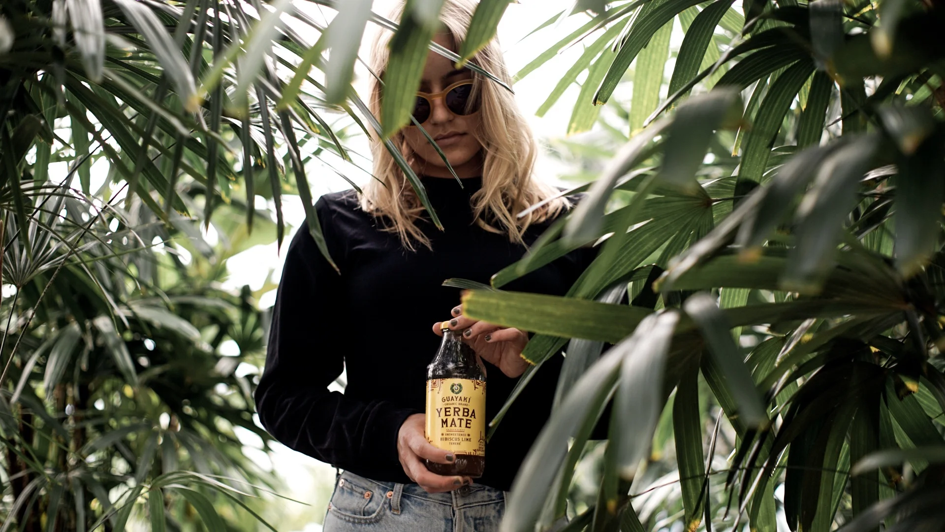 Owl House Creative - Guayaki Palm Oasis Campaign