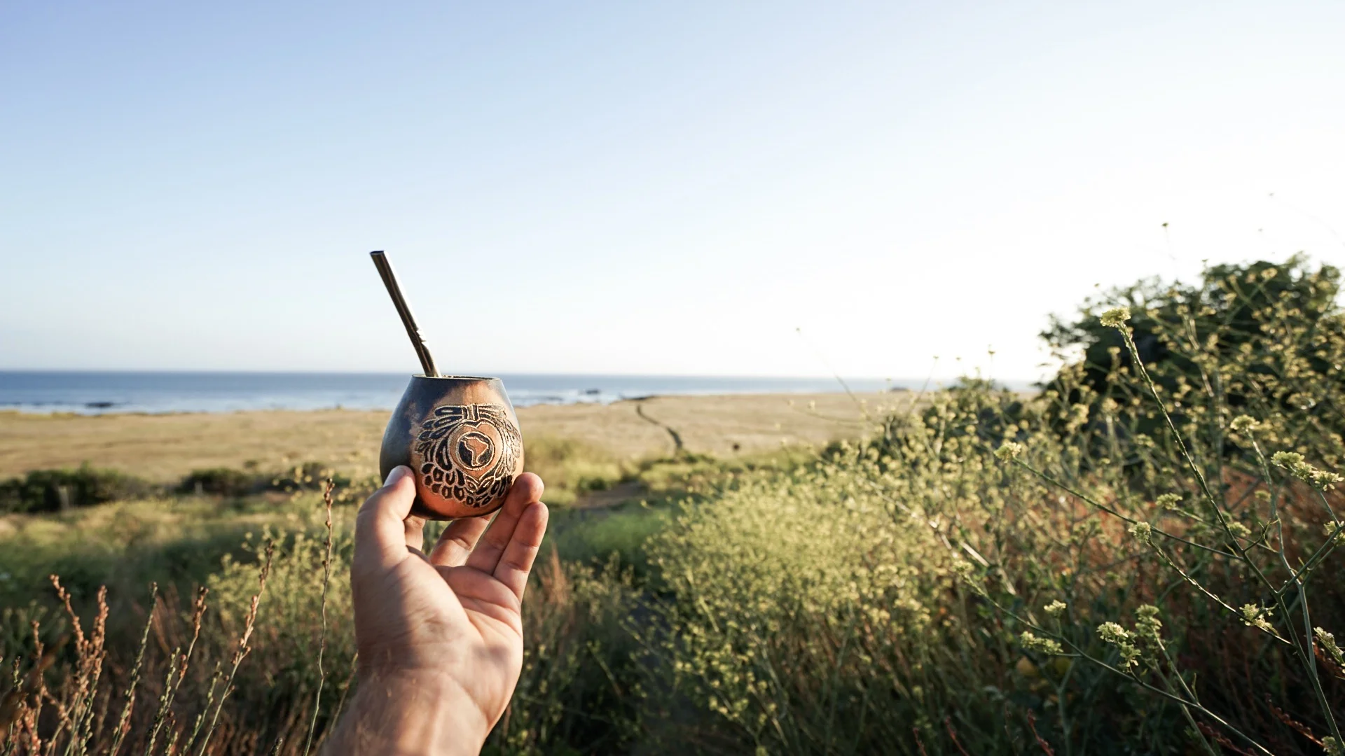 Owl House Creative - Guayaki Morro Bay Campaign