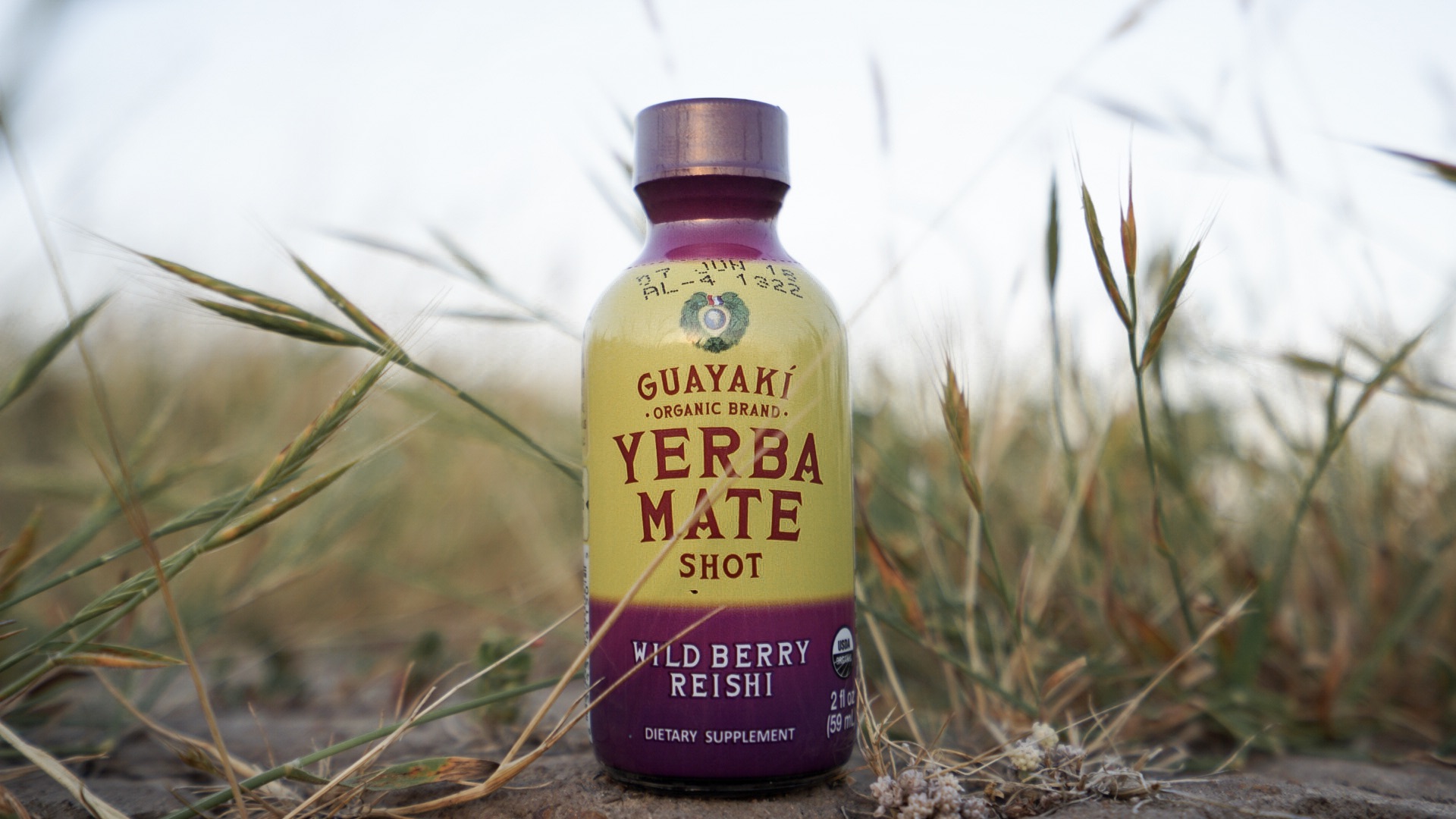 Owl House Creative - Guayaki Morro Bay Campaign