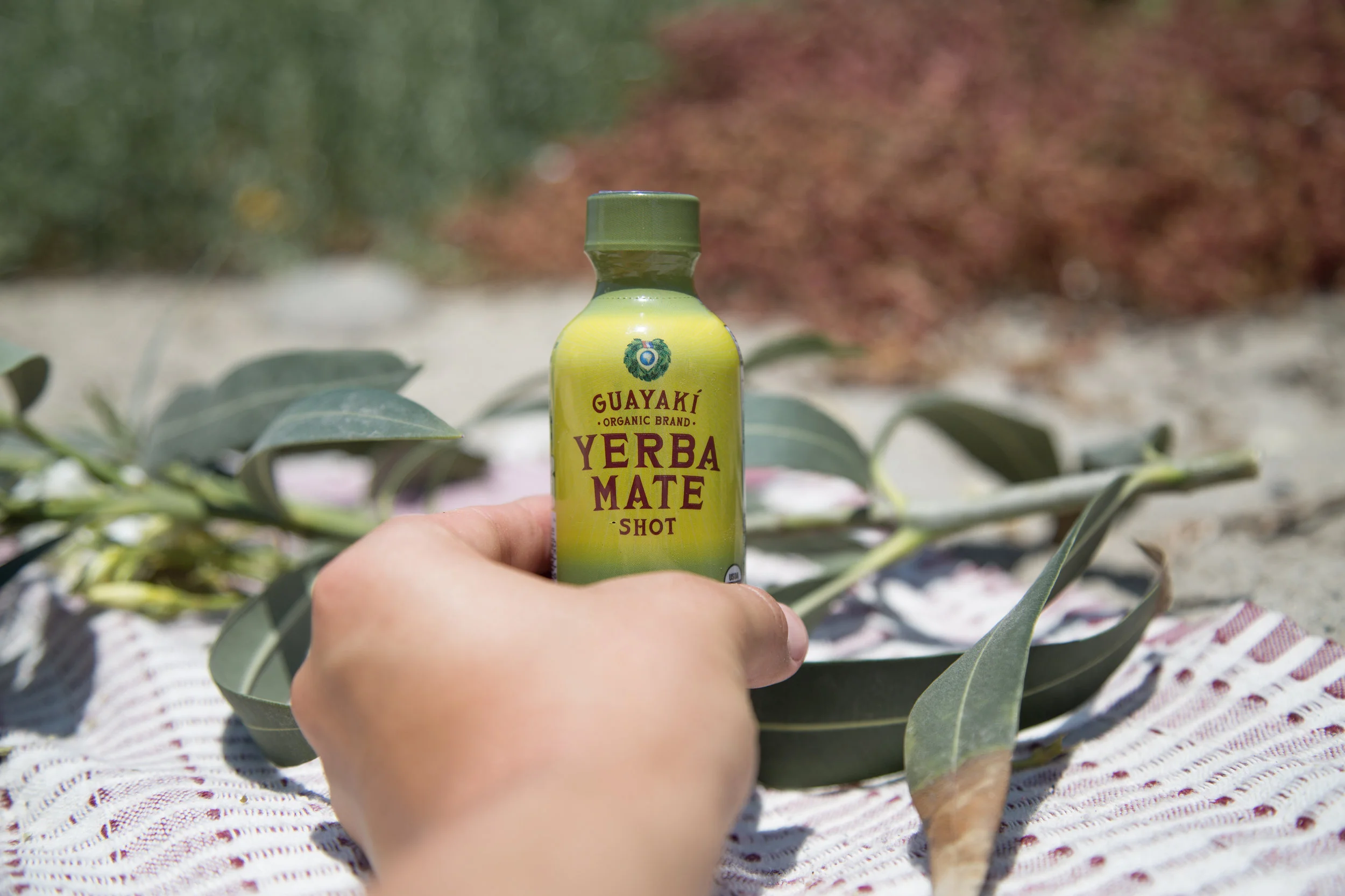 Owl House Creative - Guayaki Blood Orange & Summer Picnic Campaign