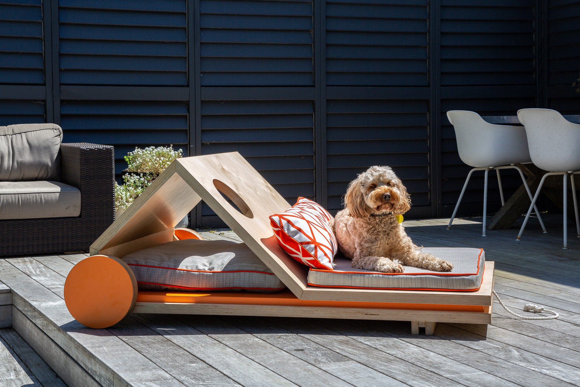 barkhaus raised dog bed