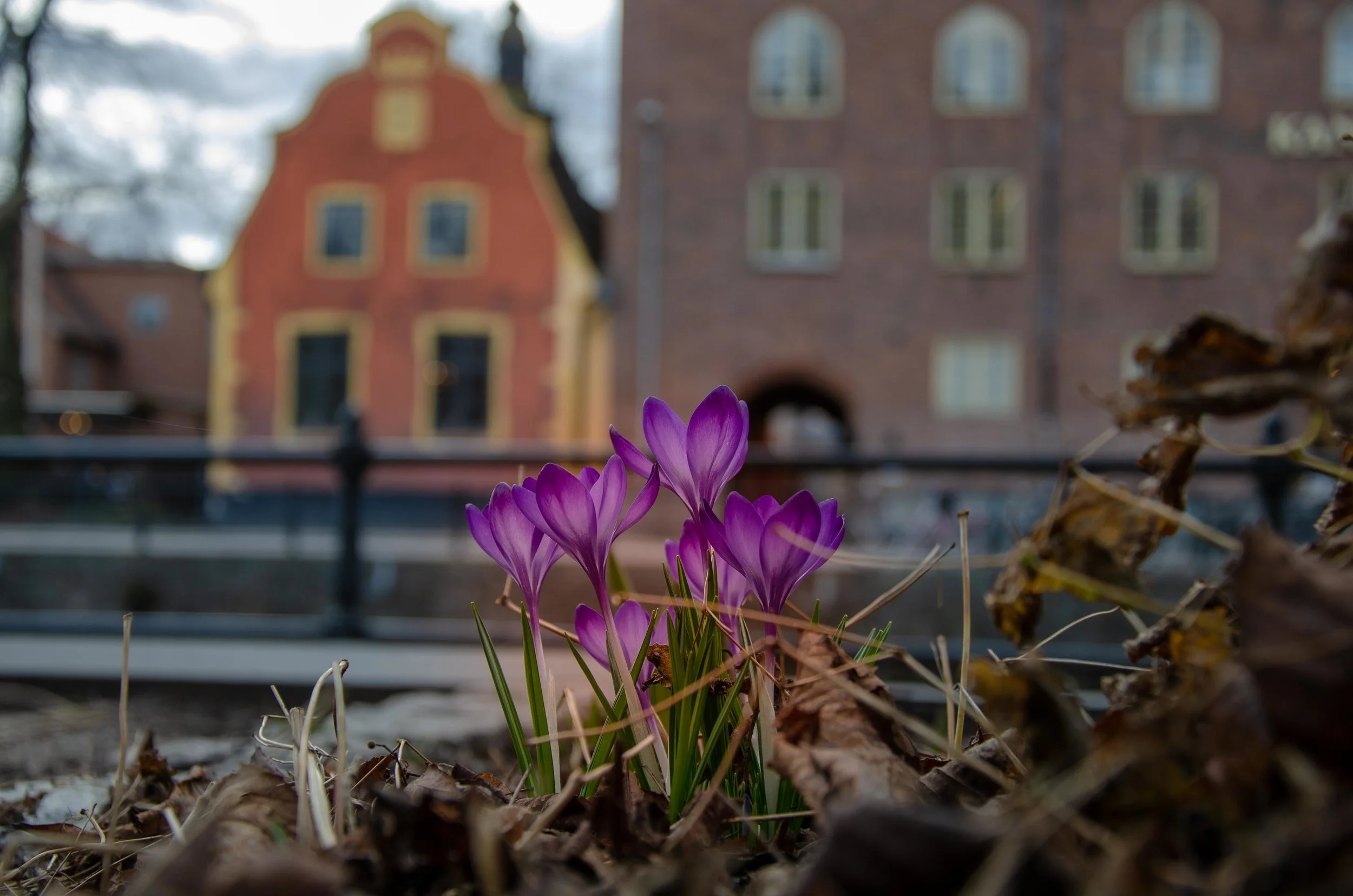 Photo by Johannes Plenio on Unsplash