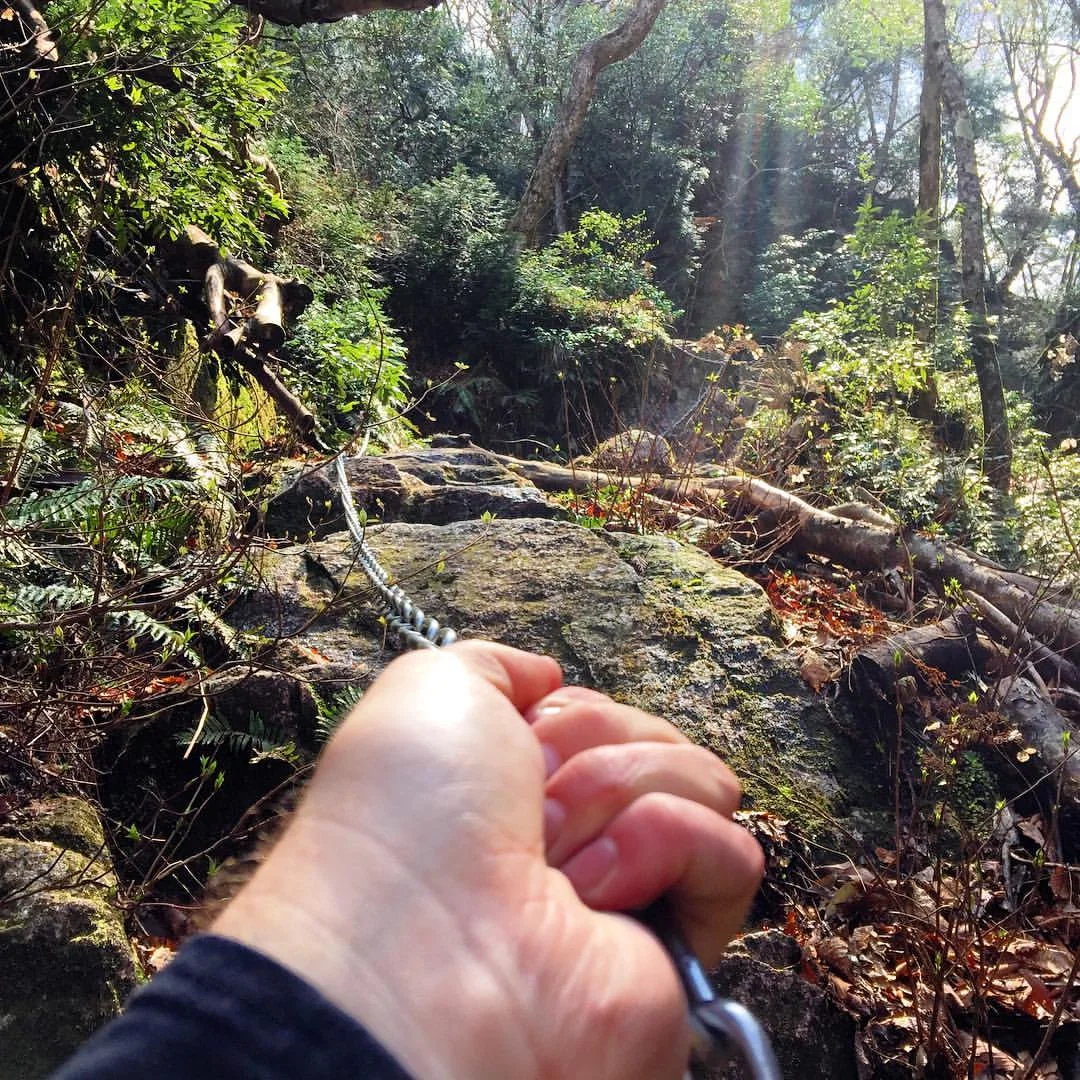 Sometimes in life, the most important decision that you make can be to get up and just see where the world takes you. Decide to do things differently, take big risks, lean forward, learn, allow yourself to let go, and when nothing goes right, go left. If you let it, life will be ready to surprise you in some amazing ways. #adventure #travel #livingthedream #dreambig #radicaldreamer #dothingsdifferentlydaily #japan #believeinyourself (at Takashima-shi, Shiga, Japan)