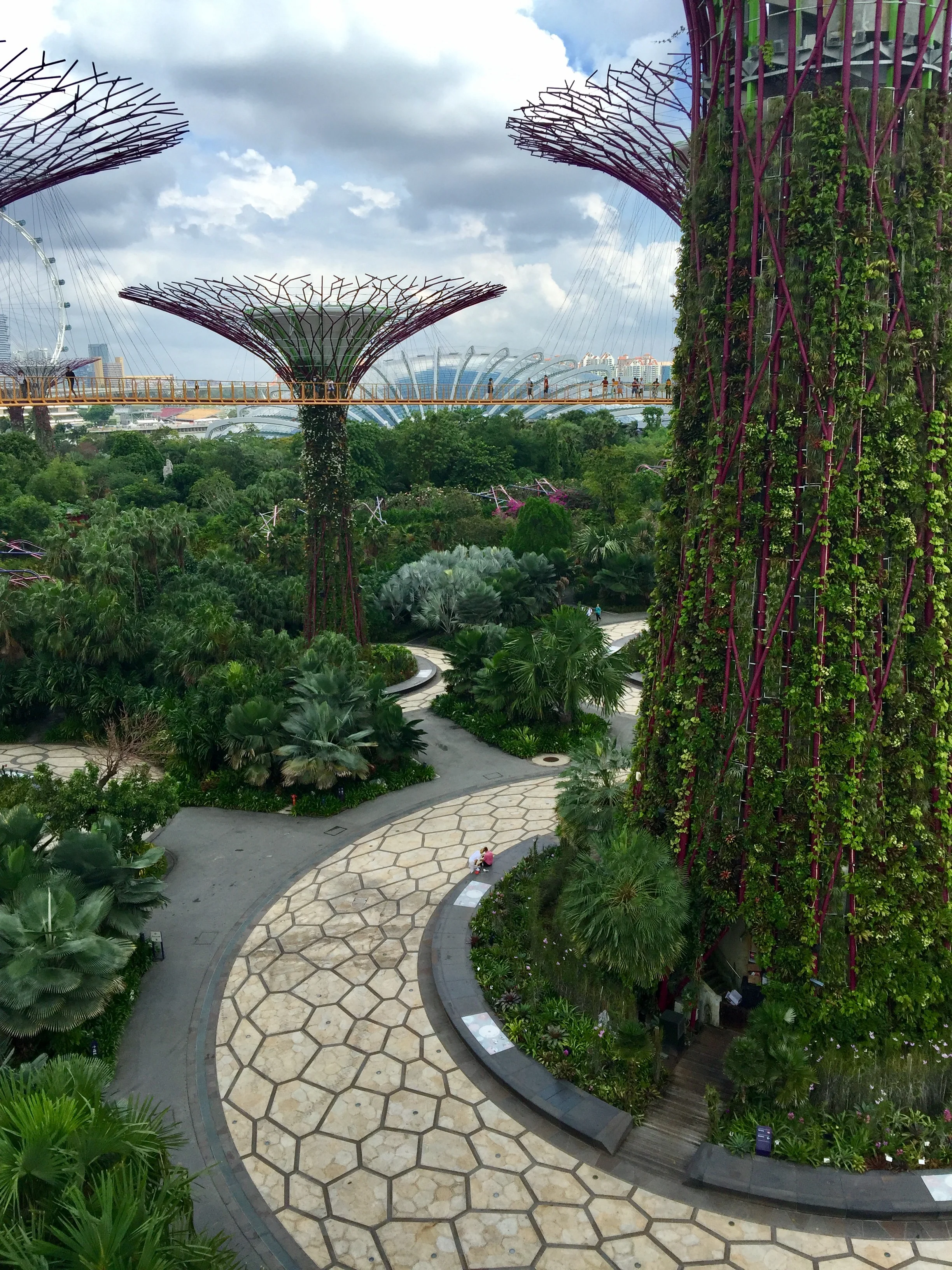 Supertree Grove Nothing speaks to the core of the environmentally sound futuristic vision of Singapore's super-city like the enormous super trees. The bridges along the top can be walked across with a ticket from the nearby domes, and provide an excellent view of the city in the distance. Just visiting the grove to experience something unlike anywhere else in the world makes this worth putting at the top of your list. And the grove is unbelievable at night.