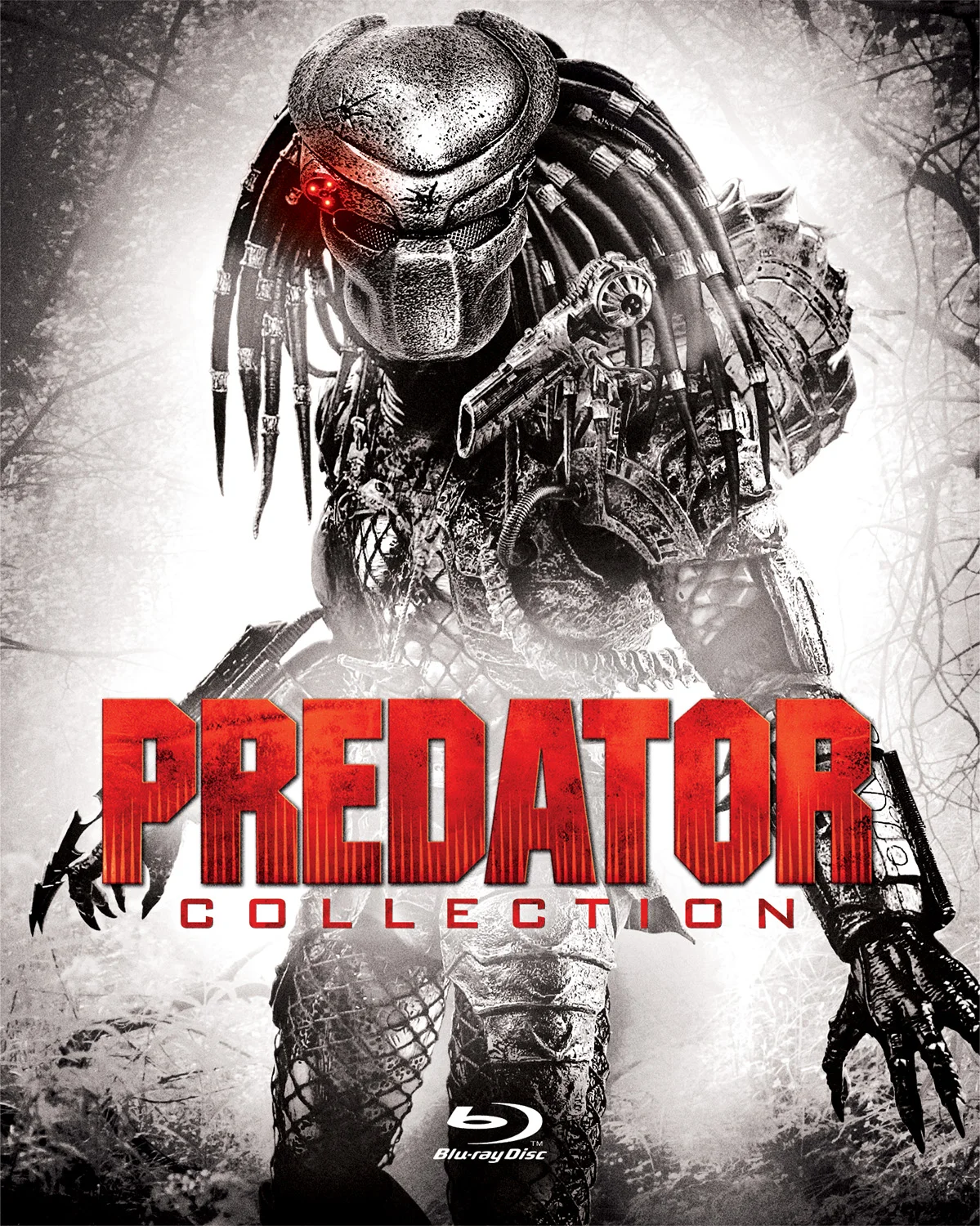 Predator3.jpg