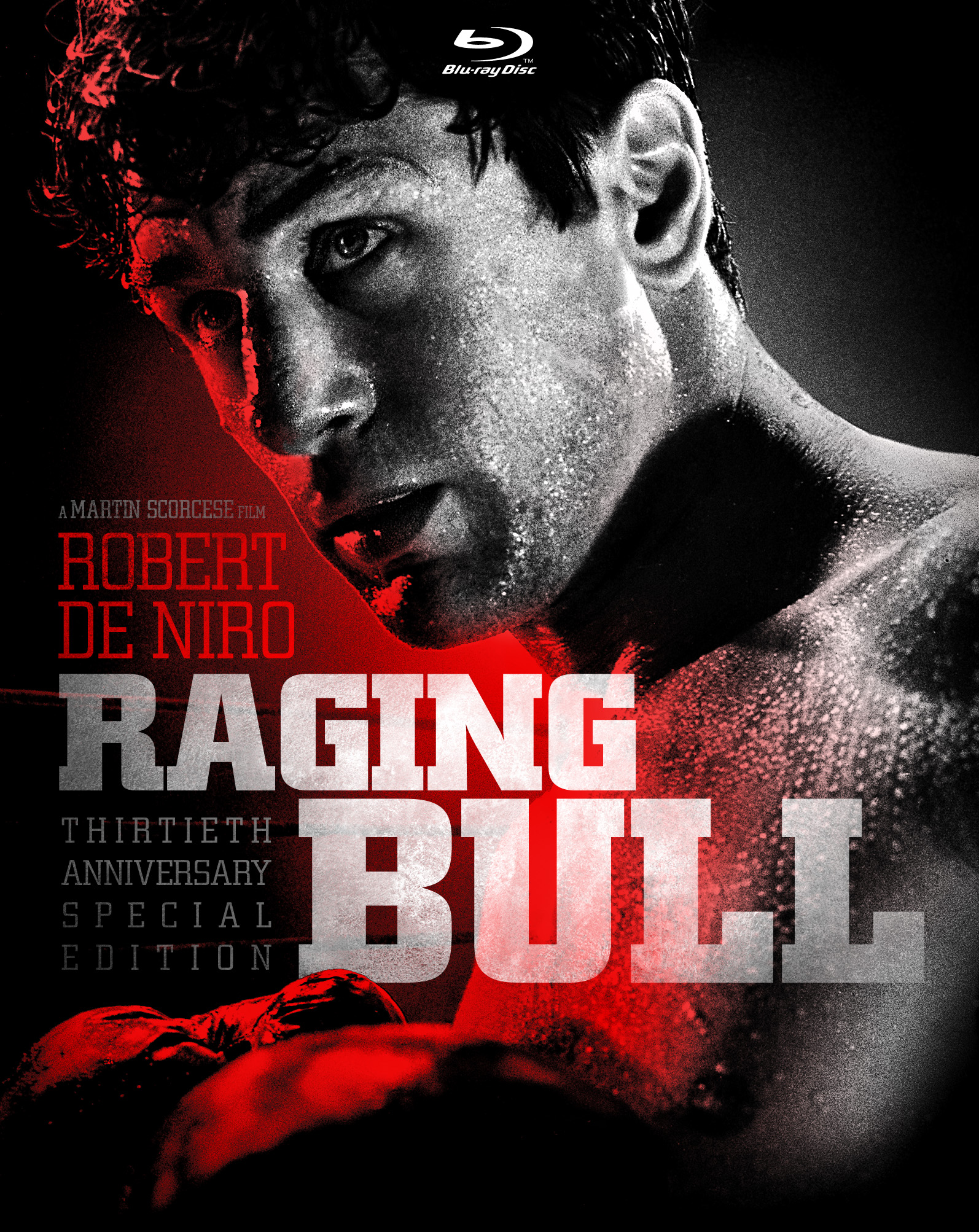 RagingBull2.jpg