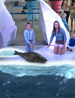 AR Snapshot from Arctic Explorer