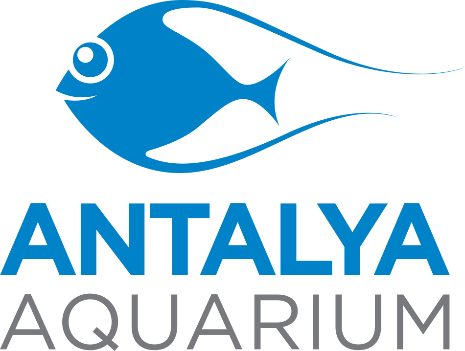 62 Antalya Aquarium.png