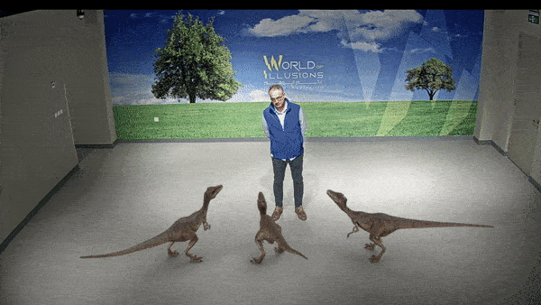 World of Illusions GIF.gif