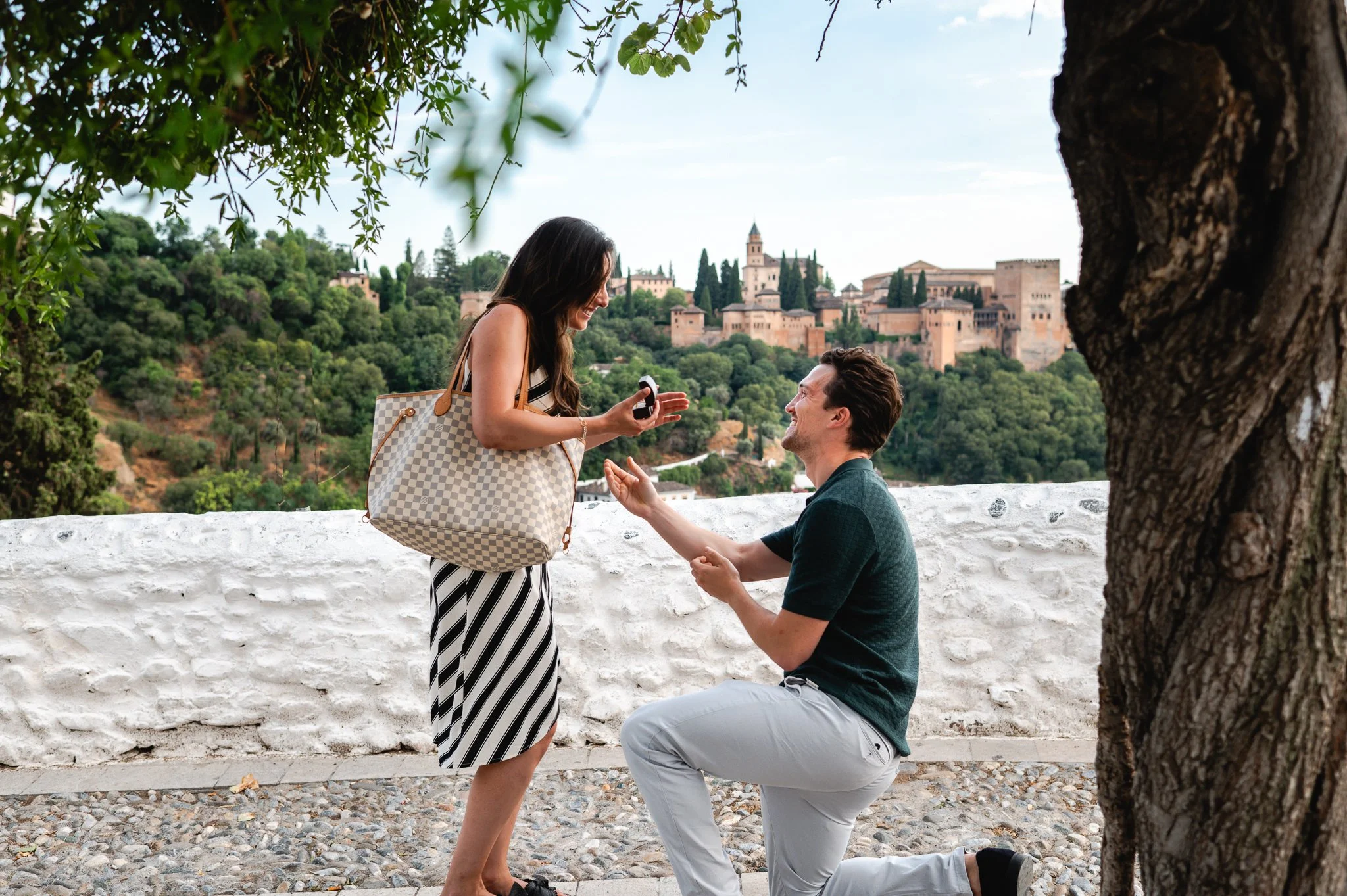 kaimakinphoto_proposal_tomyalycia-4.jpg