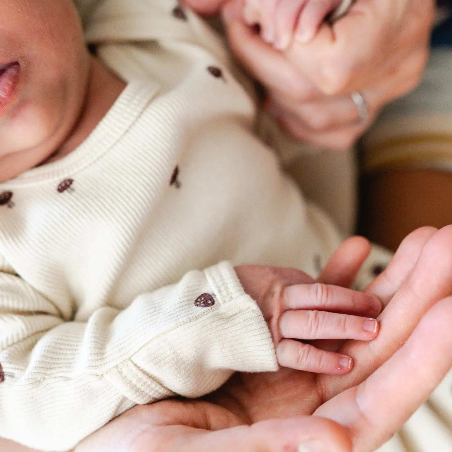 Tiny teacup fingers and nails absolutely SEND ME during newborn shoots

⠀⠀⠀⠀⠀⠀⠀⠀

⠀⠀⠀⠀⠀⠀⠀⠀⠀

⠀⠀⠀⠀⠀⠀⠀⠀⠀

#familyphotoshoot #coloradophotographer #newbornphotographer #newbornphotos #familyportrait #coloradofamilyphotographer&nbsp; #denverphotographer#