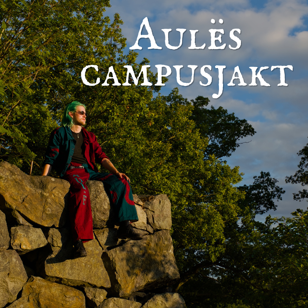 Aulës CAMPUSJAKT!