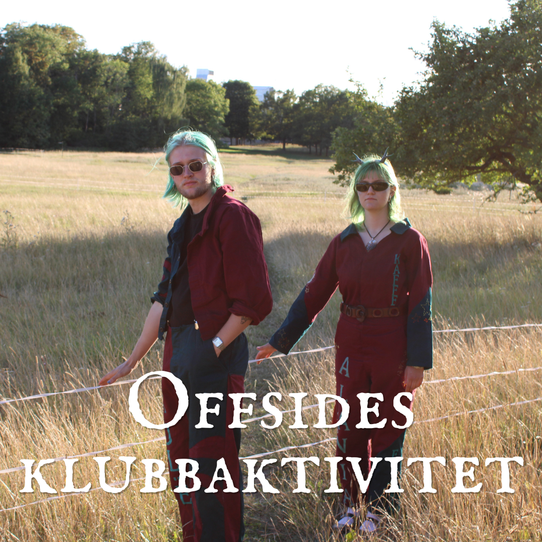 OFFSIDES AKTIVITET!
