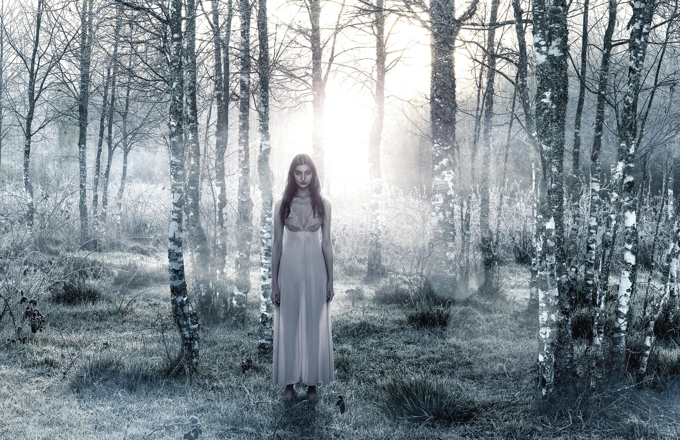 ESPECTROS Bosque PALOMA copy.jpg