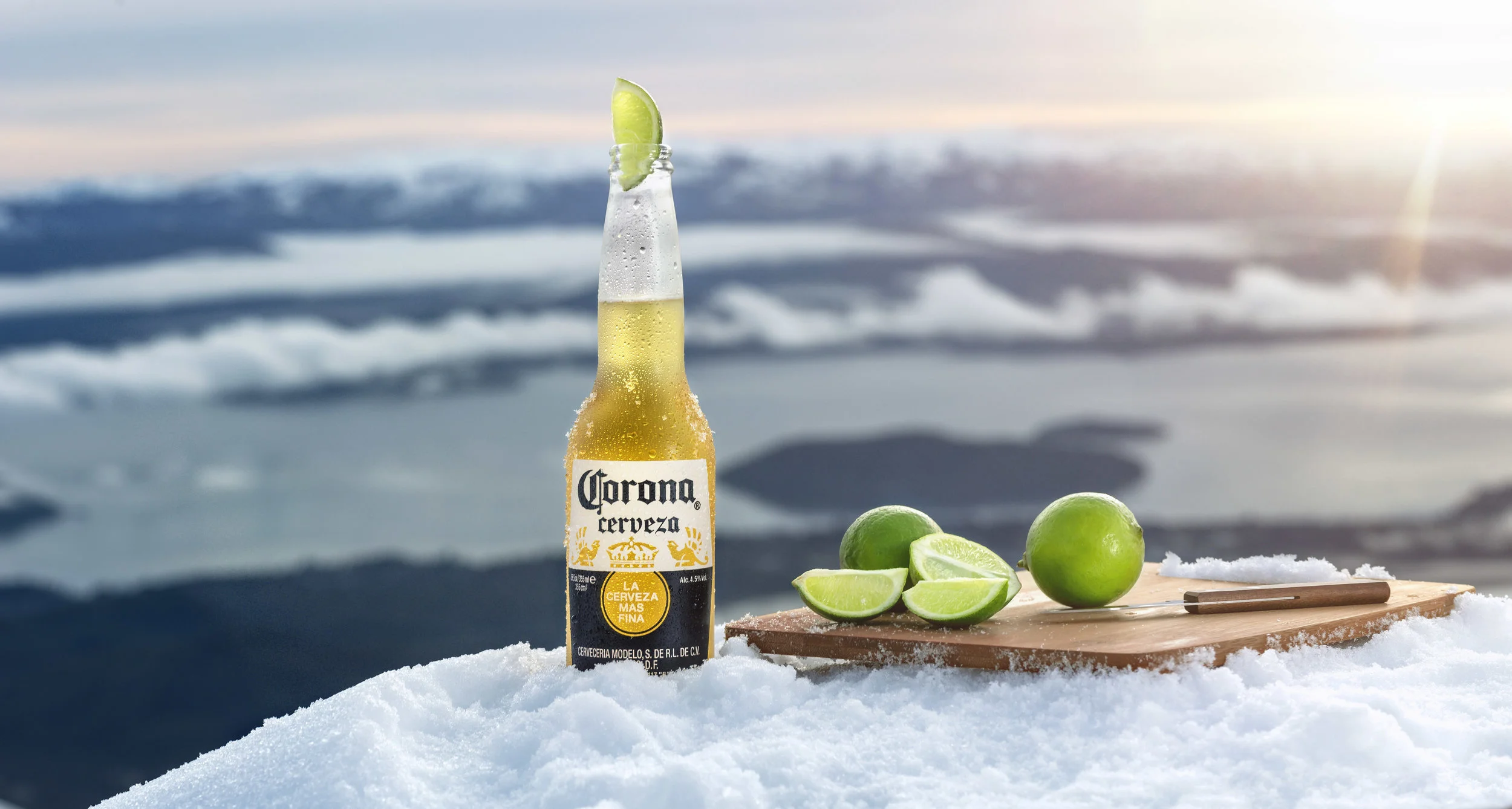 CORONA 3.jpg