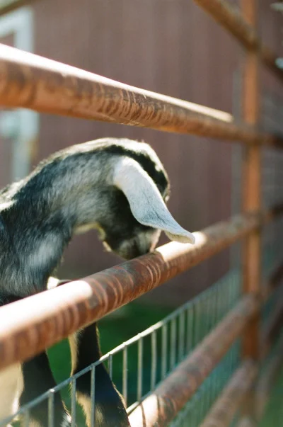   Image: White Loft Studio  