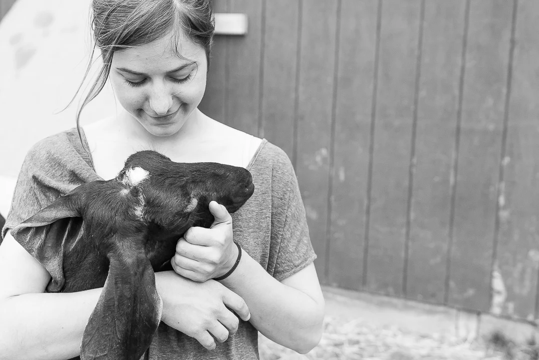   Image: Miss Cheesemonger  