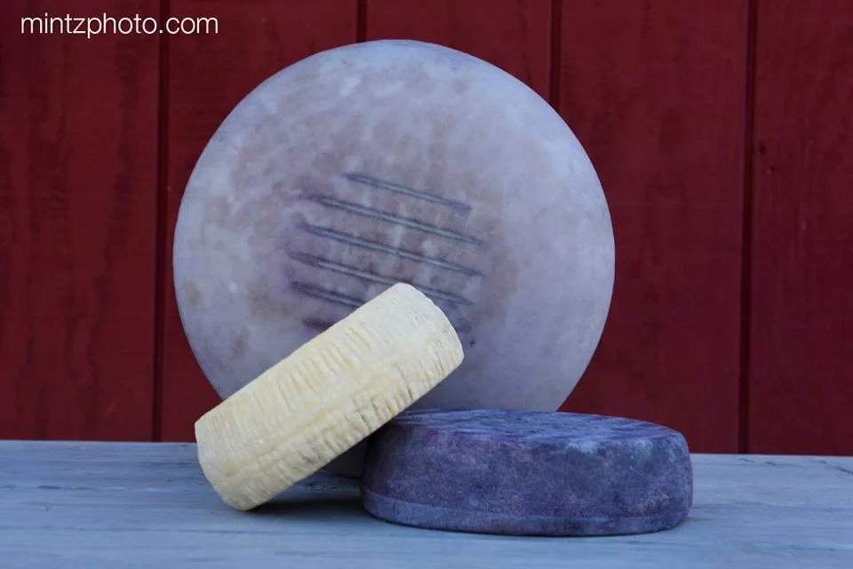   Image: Brad Mintz Photography  