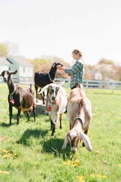   Image: White Loft Studio  