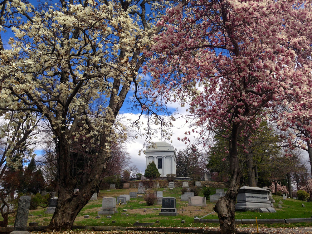 The Sleepy Hollow Cemetery by Rebecca Pitts
