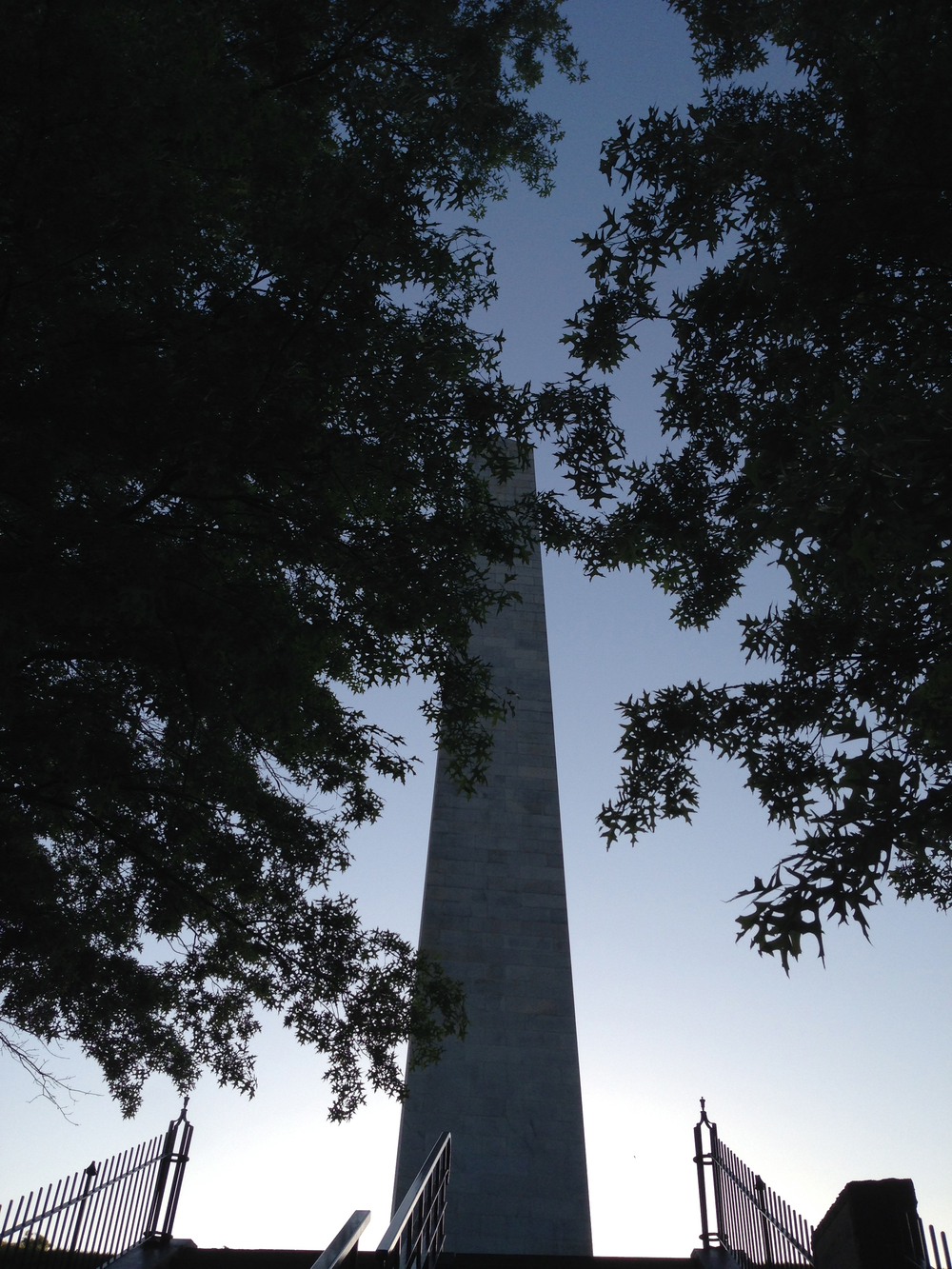 A New York Family in Boston by Rebecca Pitts