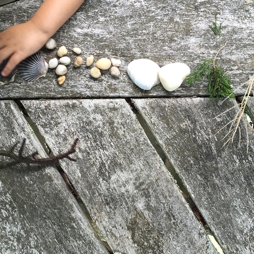 Essentialism, A Family's Approach by Rebecca Pitts