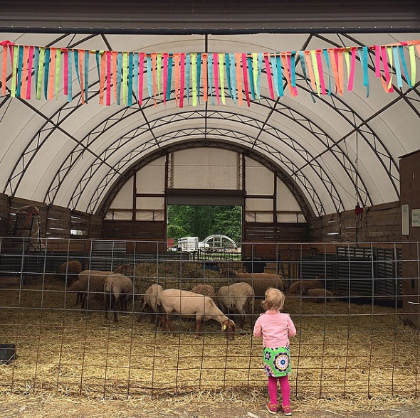 Choosing Minimalism as a Family by Rebecca Pitts