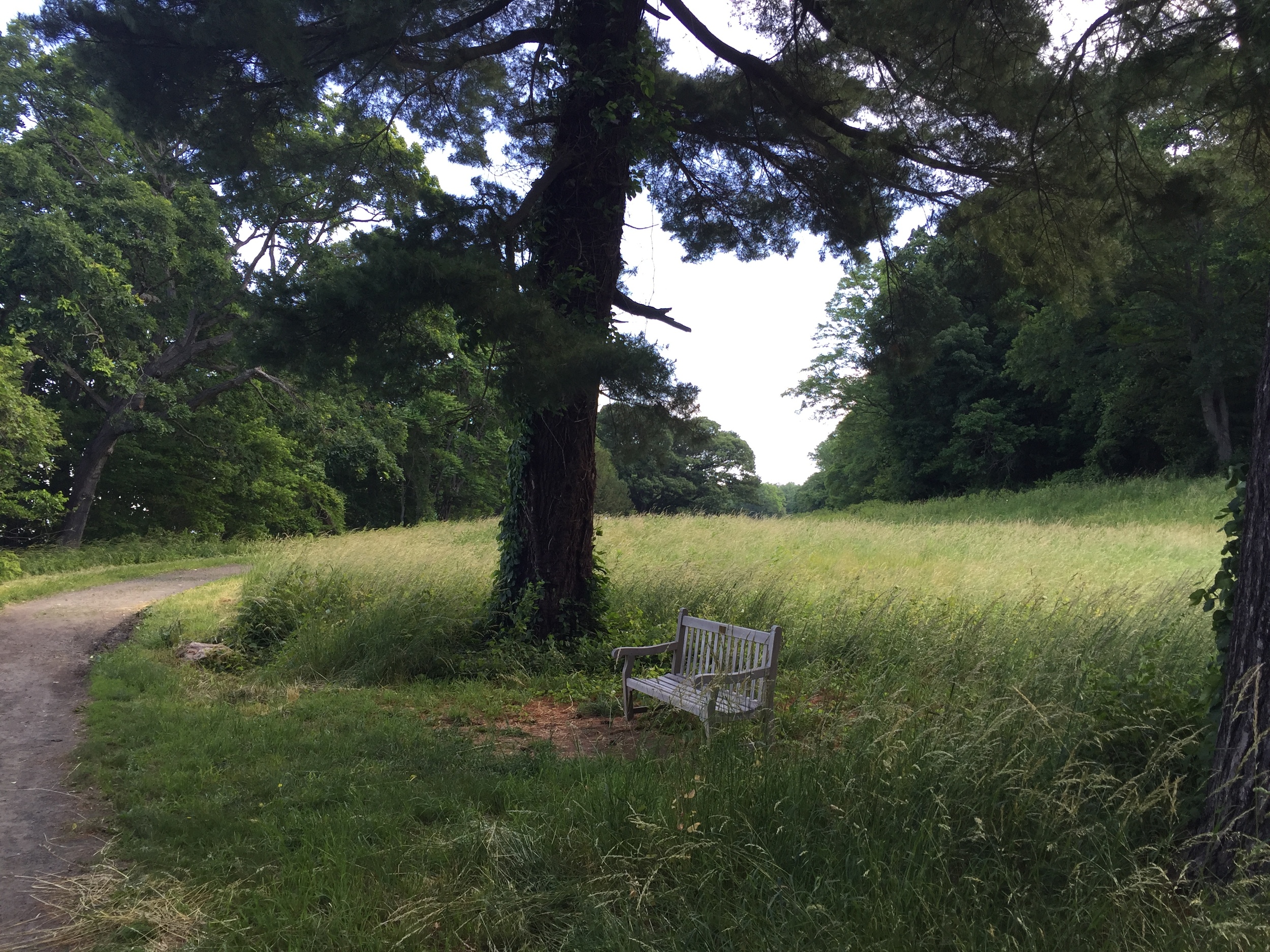 Rockwood, A Hudson Valley Secret by Rebecca Pitts