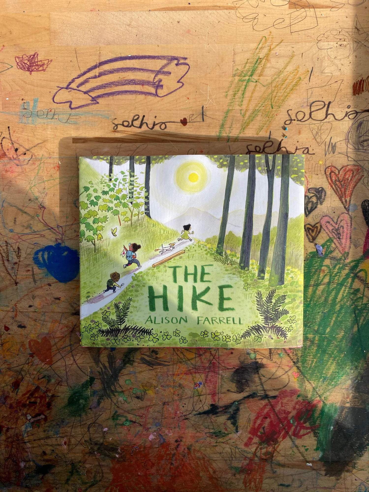 The Hike, a picture book by Alison Farrell — Rebecca Pitts