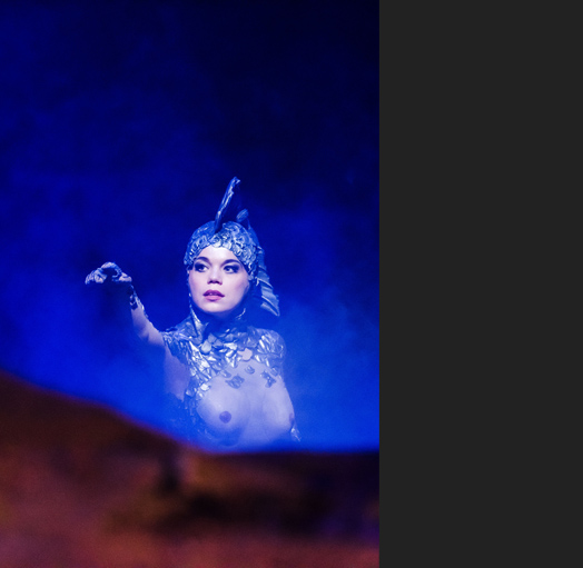 Rusalka_1_Oper Leipzig_Michiel Dijkema_(c)KN.jpg