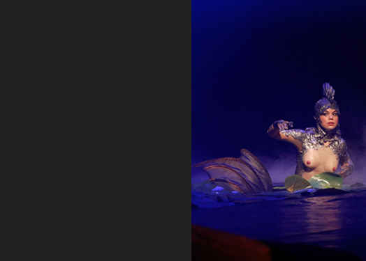 Rusalka_8_Oper Leipzig_Michiel Dijkema_(c)DK.jpg