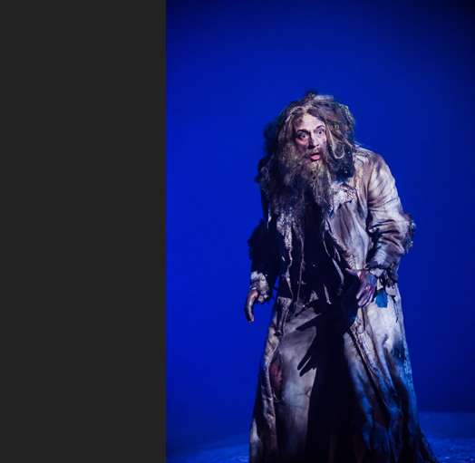 Rusalka_87_Oper Leipzig_Michiel Dijkema_(c)KN.jpg