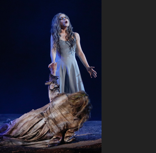 Rusalka_90_Oper Leipzig_Michiel Dijkema_(c)DK.jpg