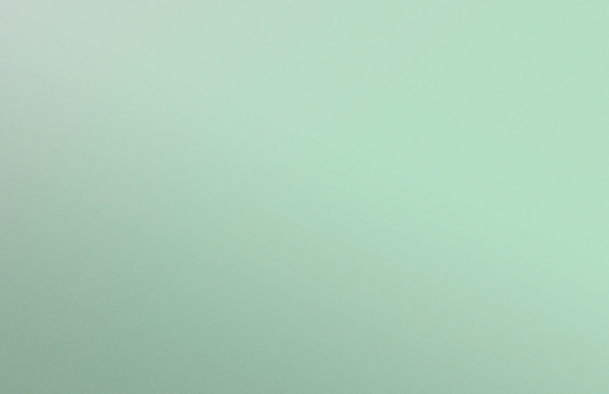 background shot.jpg