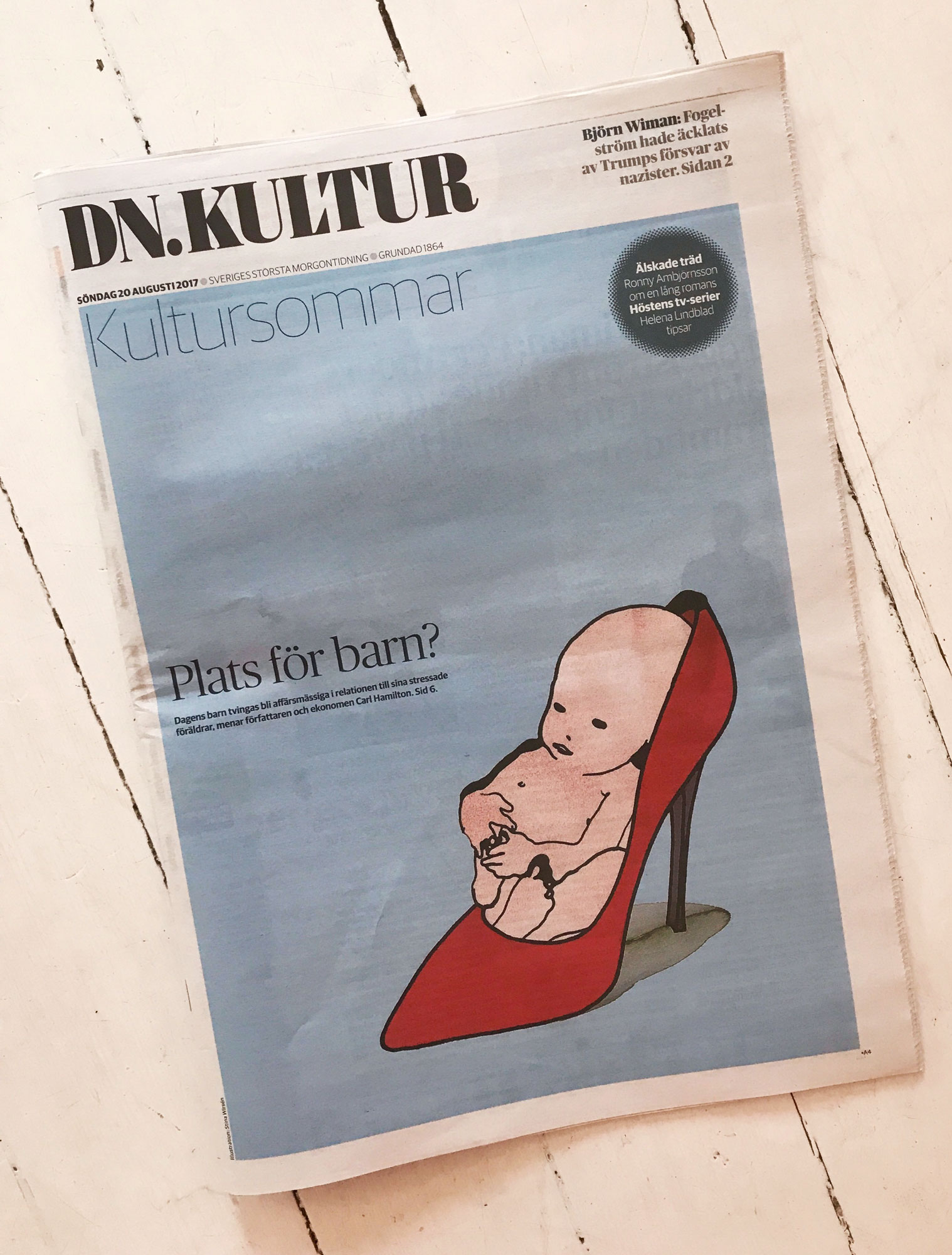dn2.jpg