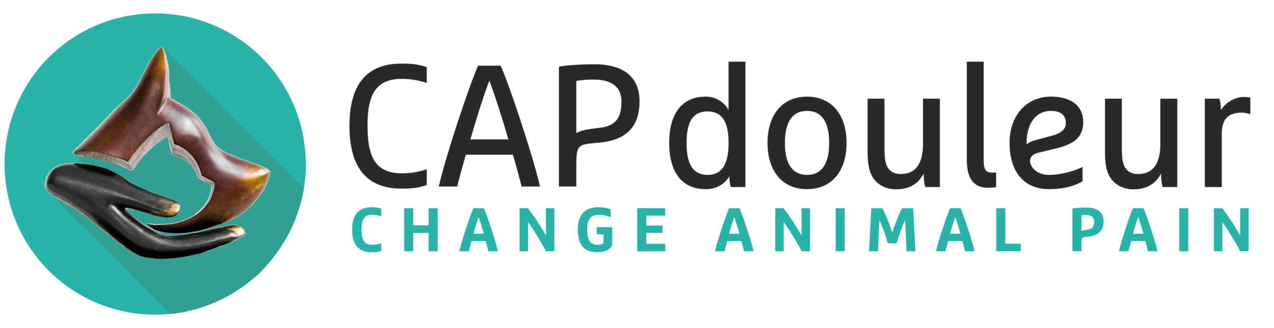 Qui Sommes Nous Cap Douleur