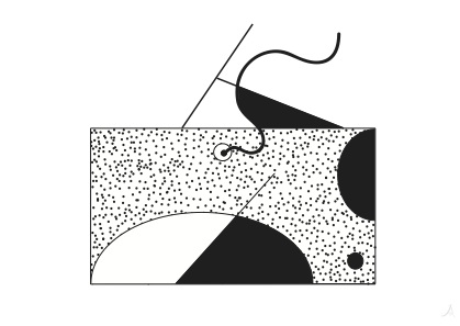 LP22(10).jpg