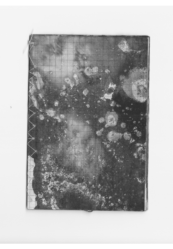 Webp.net-gifmaker (3).gif