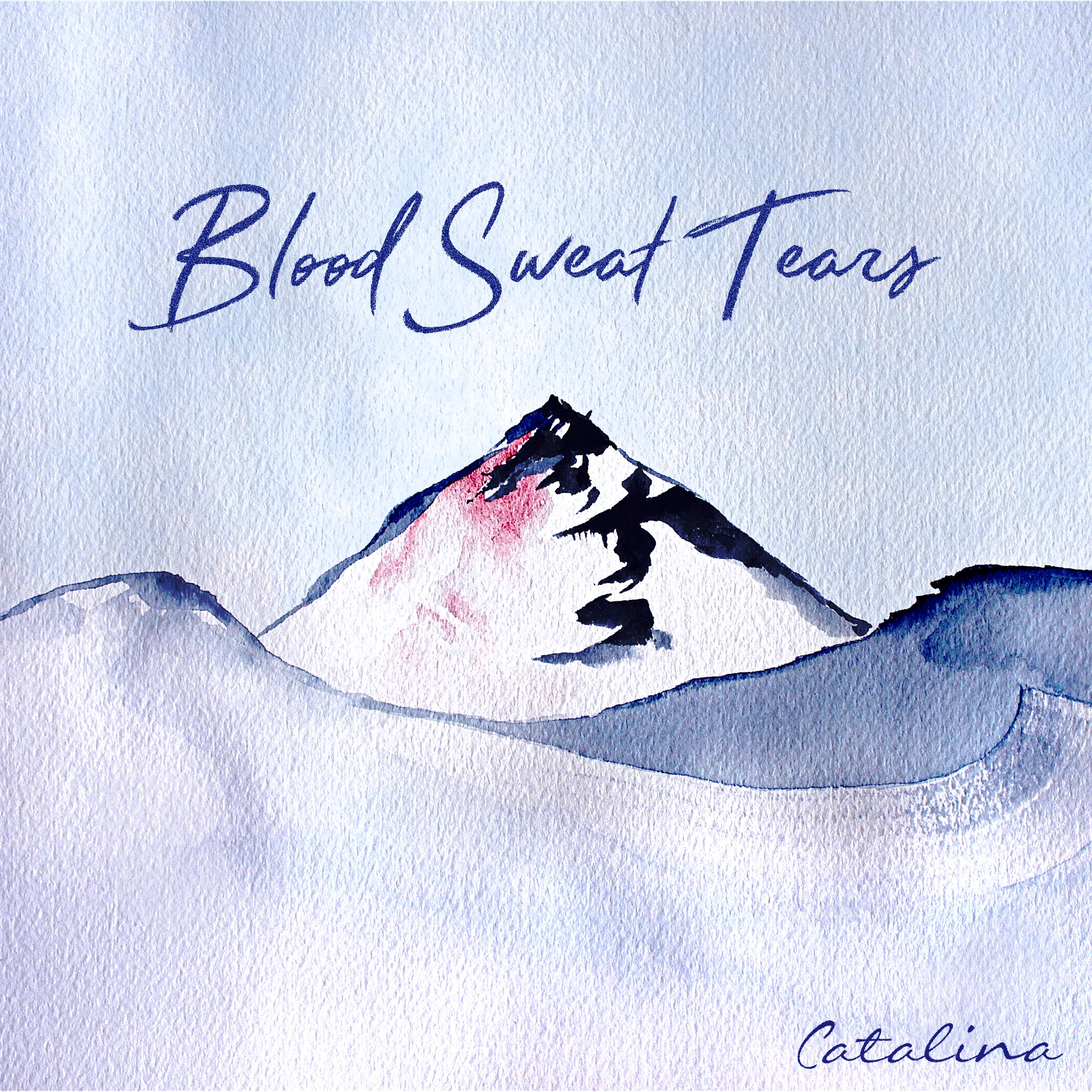 Blood Sweat Tears Official Artwork.jpg