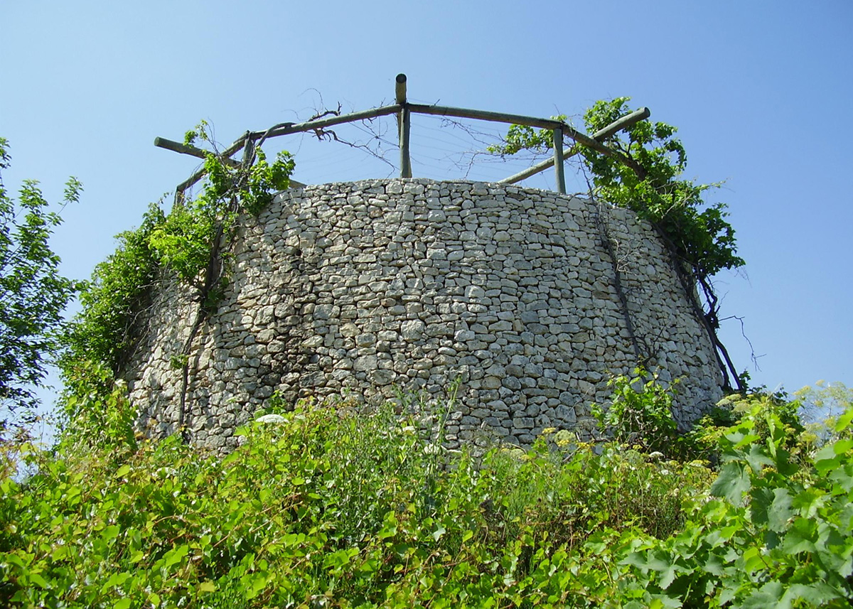 Watchtower and vineyard