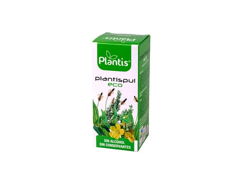 plantis-pul-eco.jpg