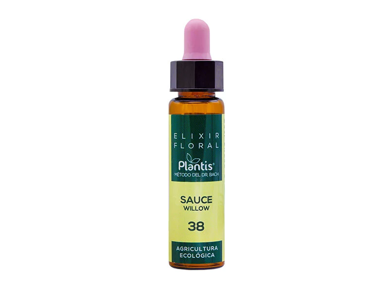 elixir floral sauce willow 38.jpg