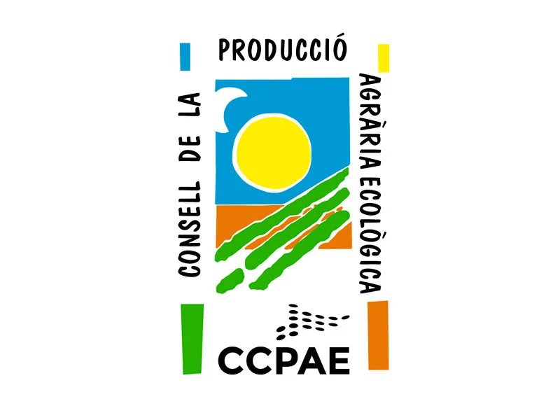 CCPAE web.jpg