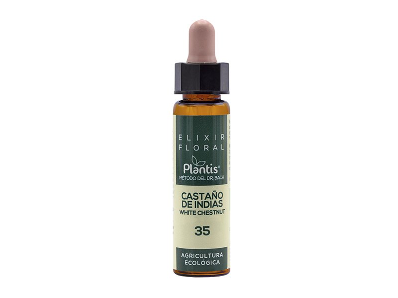 castaño de indias elixir floral.jpg